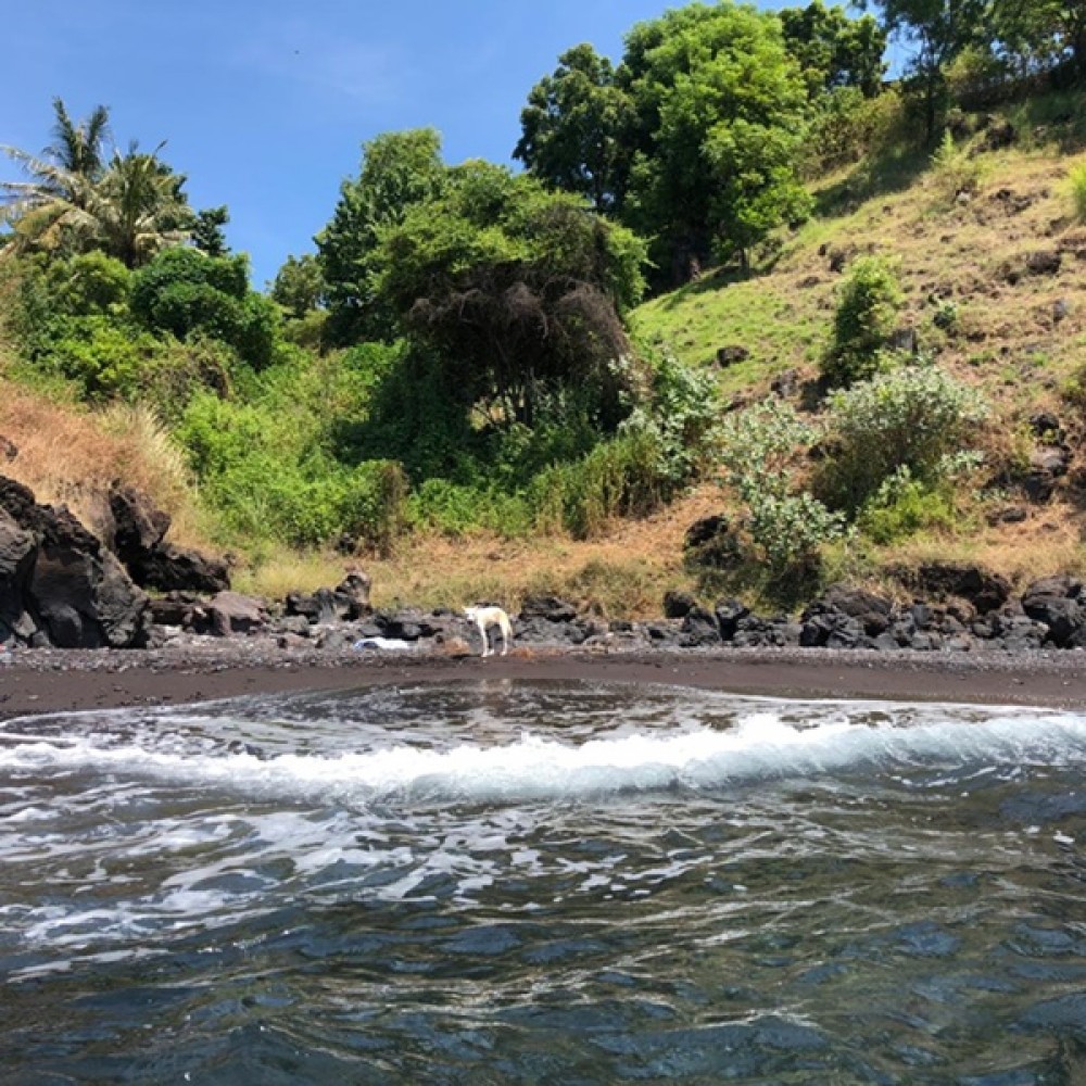 Dijual Tanah di Atas Tebing dengan Pemandangan Menakjubkan di Karangasem