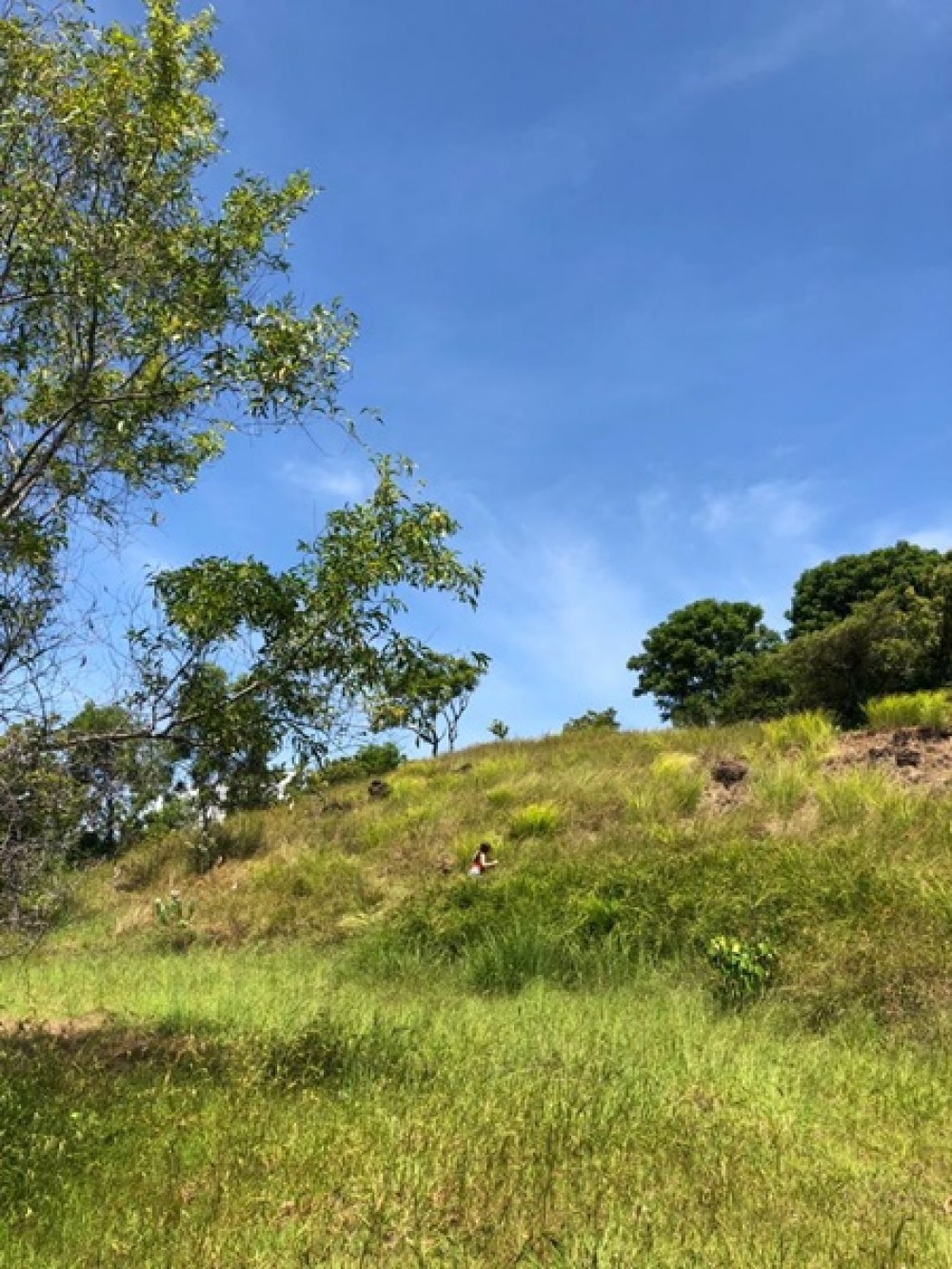 Cliff Top Land avec vue imprenable à Karangasem à vendre