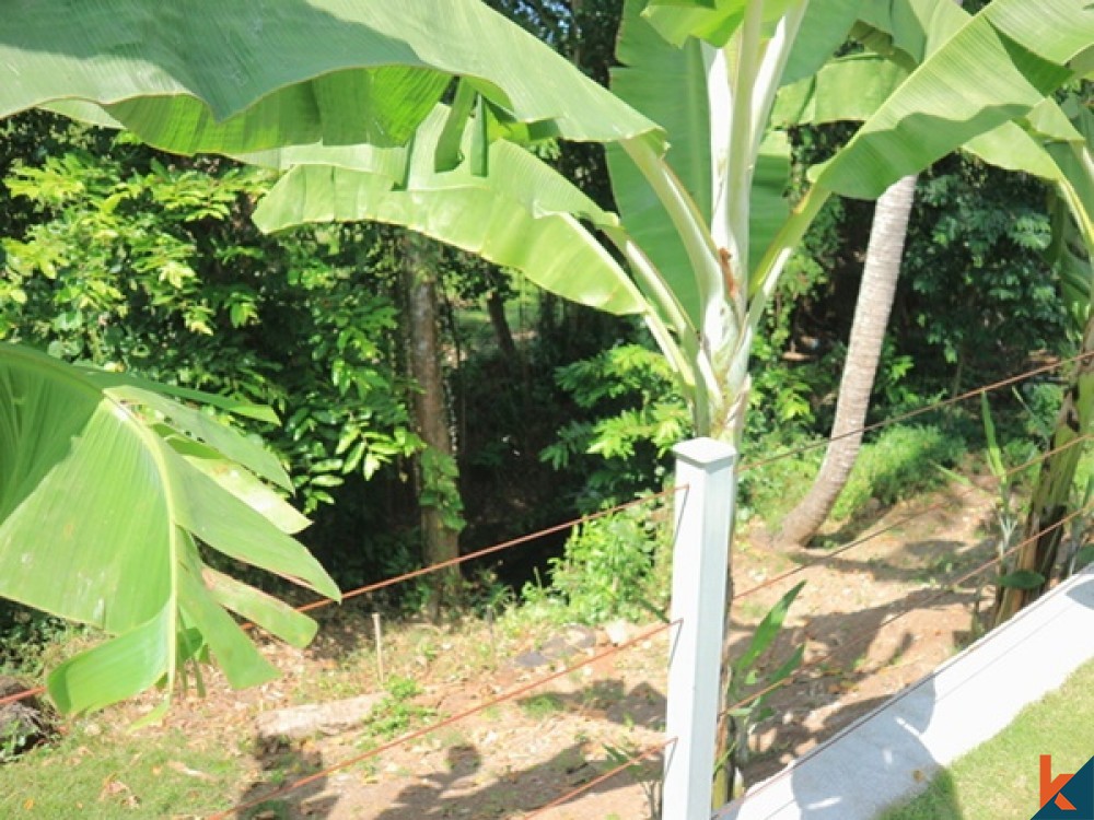 Vila Damai dan Airy 3 Kamar Tidur dengan Pemandangan Sungai dan Hutan di Canggu untuk Penjualan Sewa