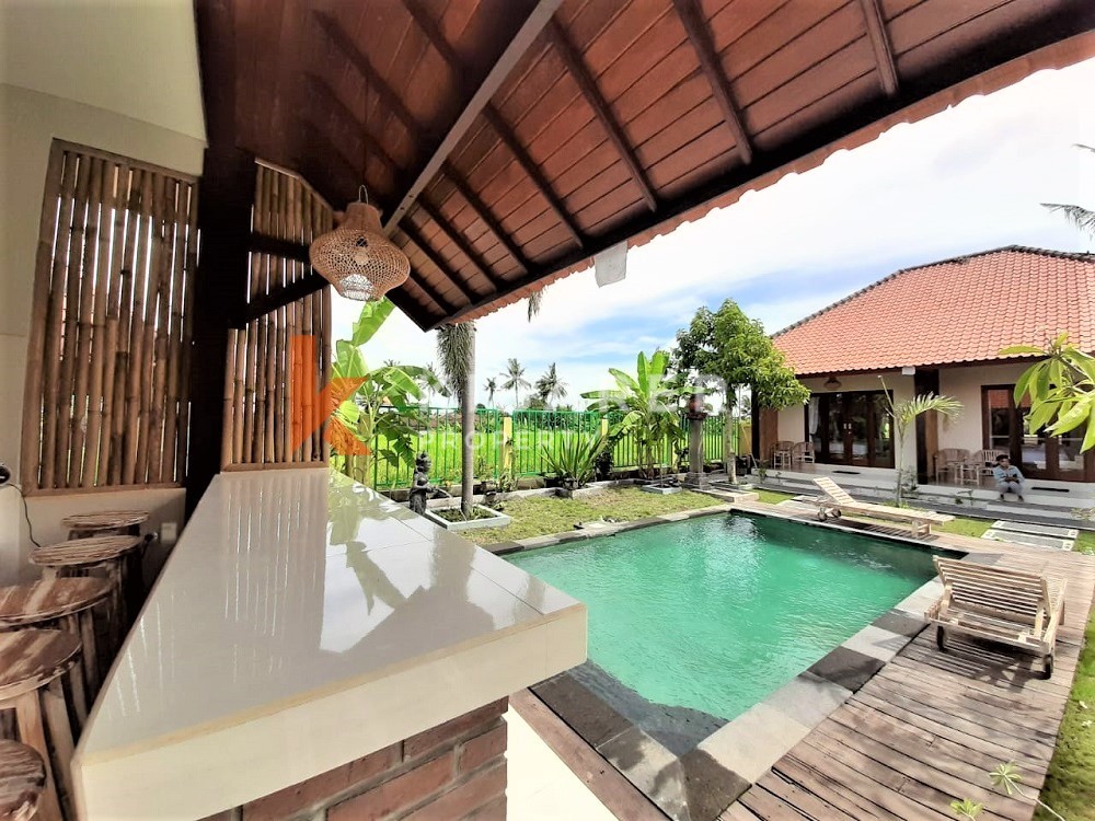 Beautiful Six Bedrooms Guest House In Canggu