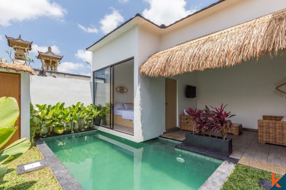 Villa Dua Kamar Tidur Baru Dijual di Tibubeneng