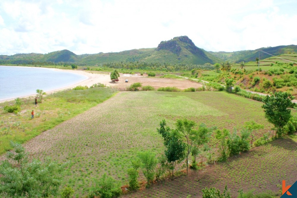 Rare Beachfront Kavling in Lombok for Sale with Good Price