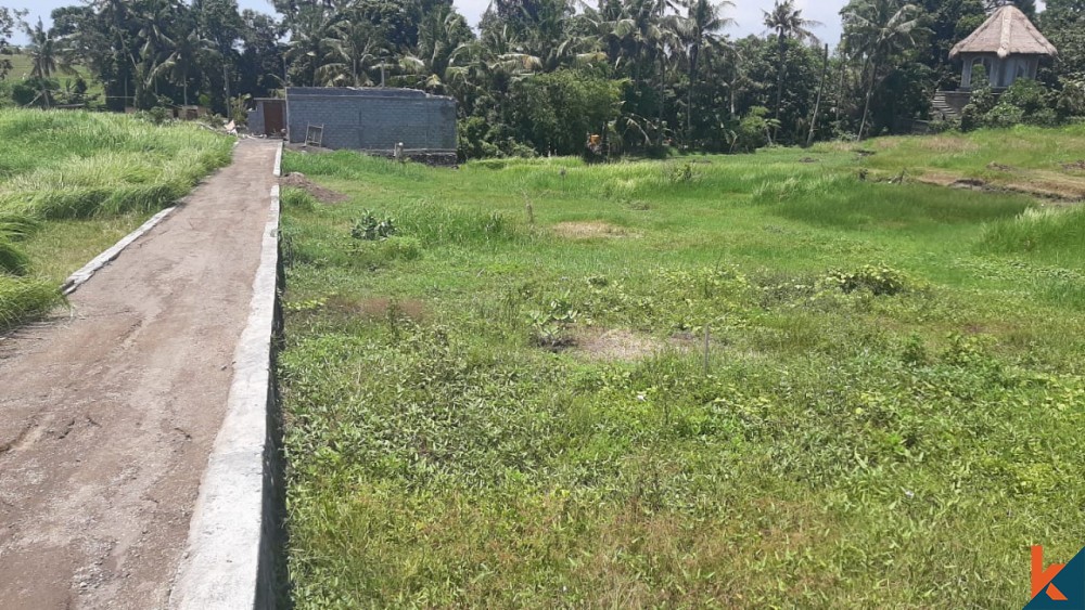 Rare small plot in pererenan