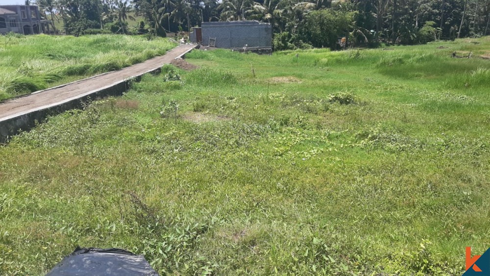 Rare small plot in pererenan