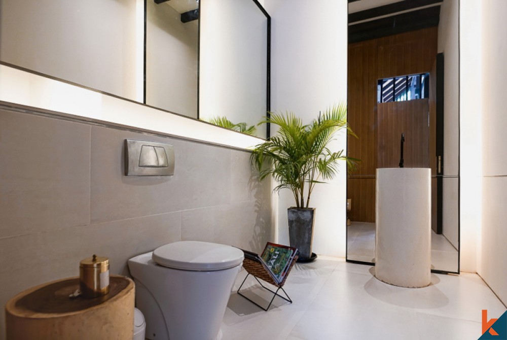 Modern Comfortable Villa Newly Renovated for Sale in Canggu