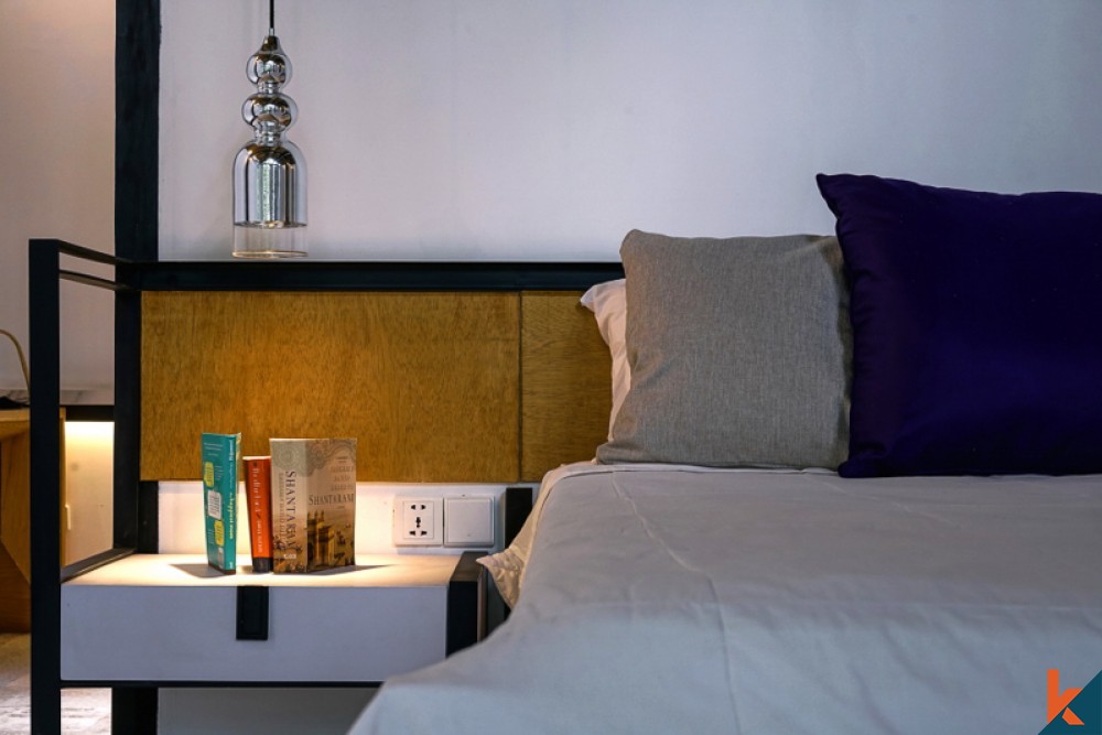 Modern Comfortable Villa Newly Renovated for Sale in Canggu
