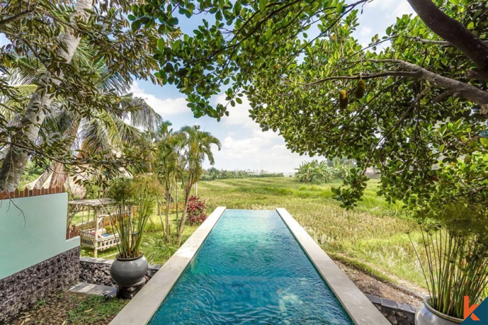 Villa For Sale in Bali Less Than 500k Kibarer Property