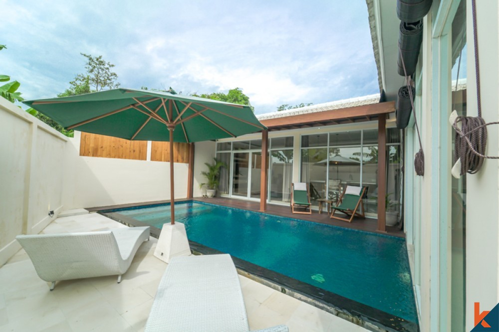 Beautiful Charming Two Villas for Sale in Kerobokan