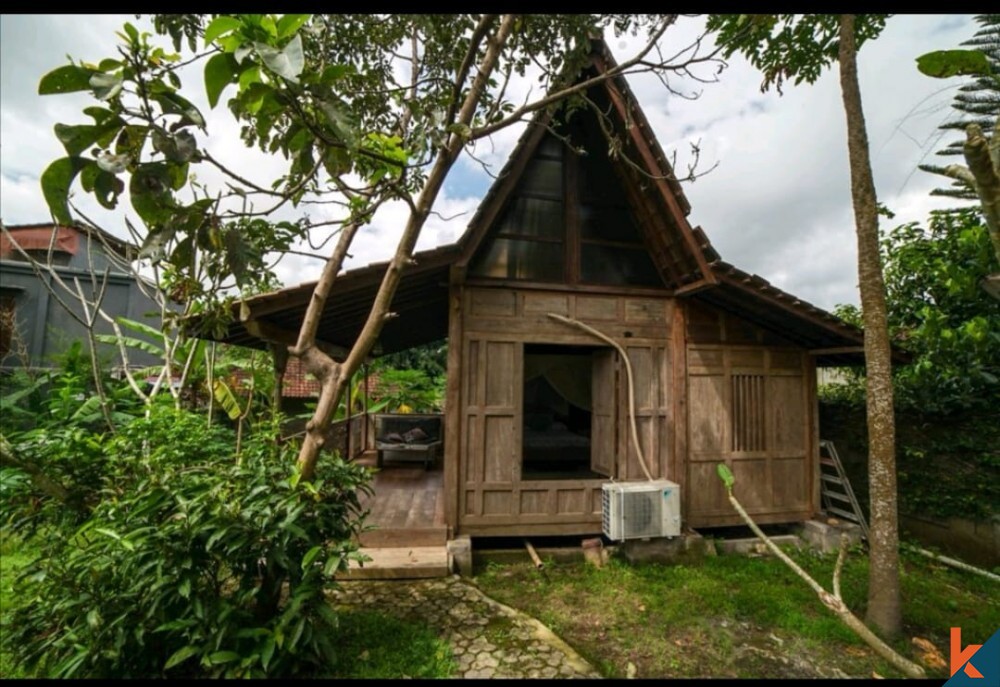 Immobilier en pleine propriété confortable de 6 chambres à vendre à Ubud