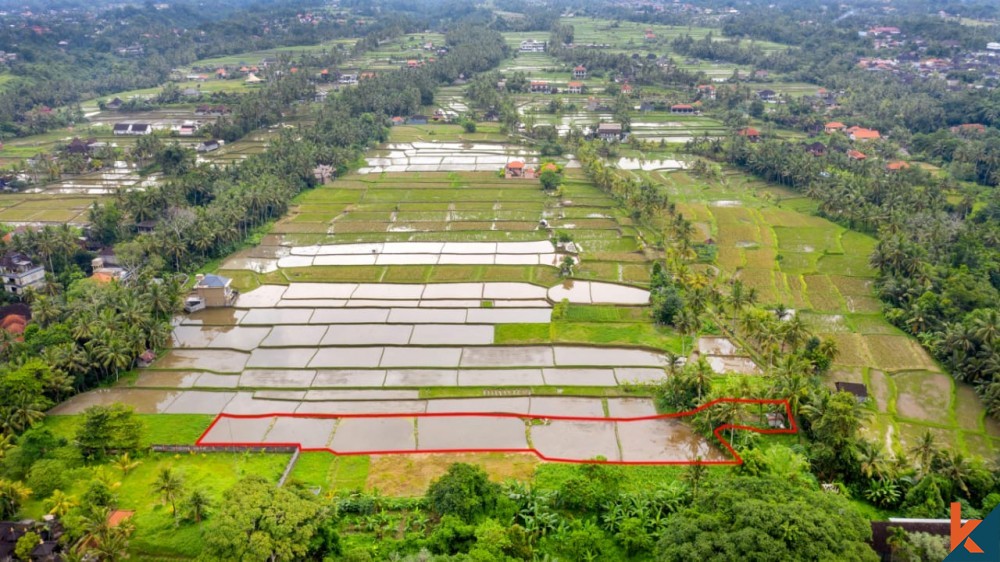 AMAZING RICEFIELD VIEW LAND IN UBUD
