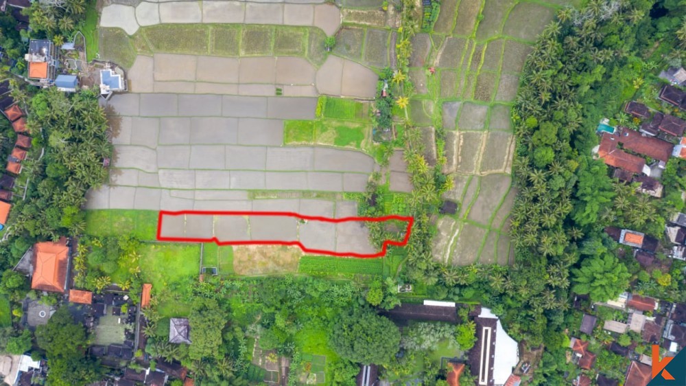 AMAZING RICEFIELD VIEW LAND IN UBUD