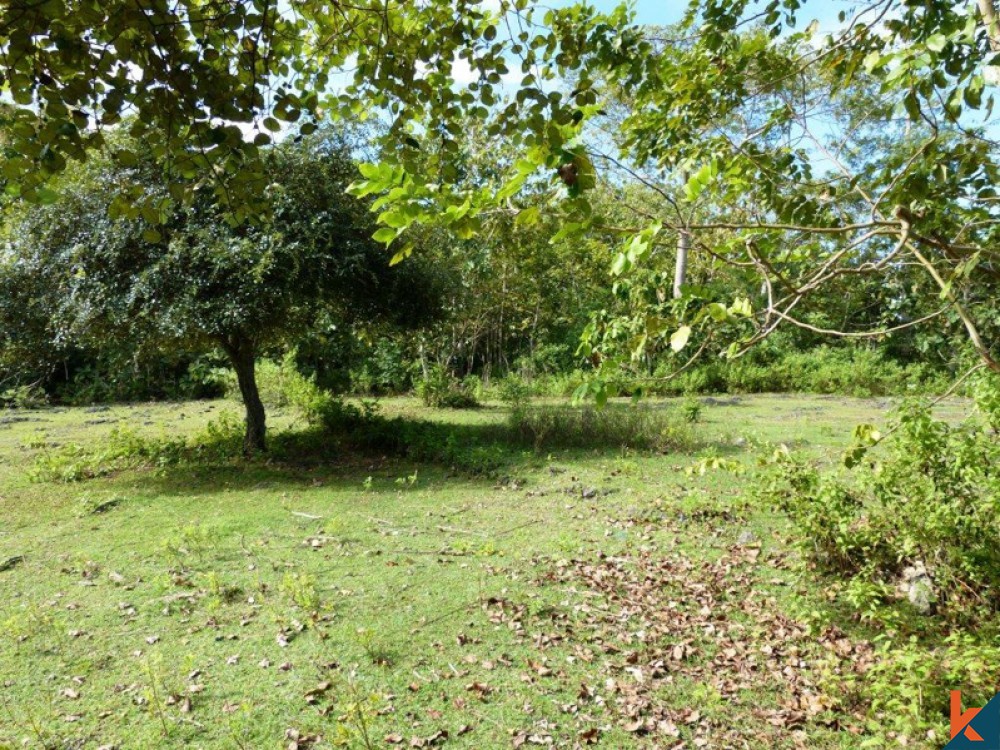 Freehold residential land for sale in Balangan