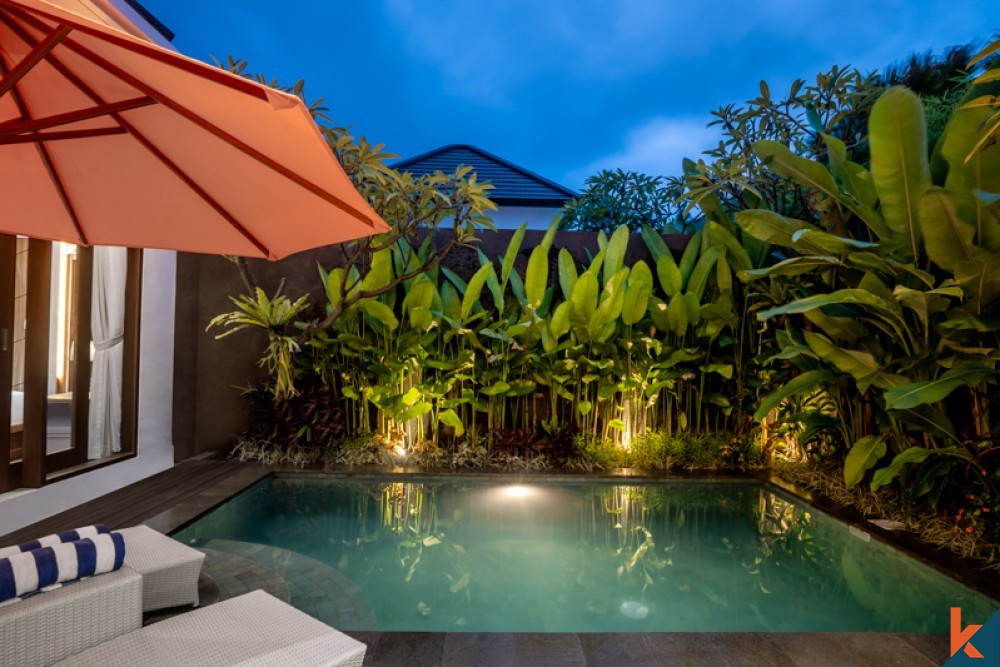 Charming Two Bedrooms Complex Project Villa for Sale in Seminyak