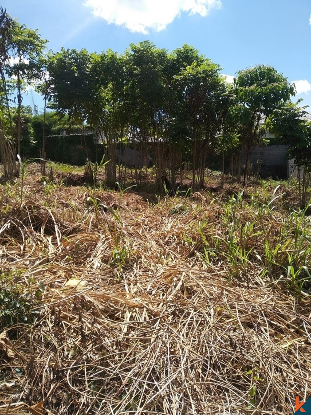 Ready to Build Long Lease Land in Umalas for Sale