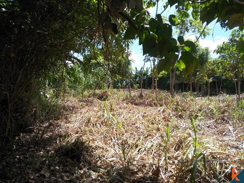 Ready to Build Long Lease Land in Umalas for Sale