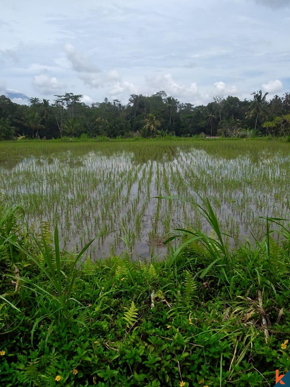 Terrain avec vue imprenable à Tegallalang à vendre