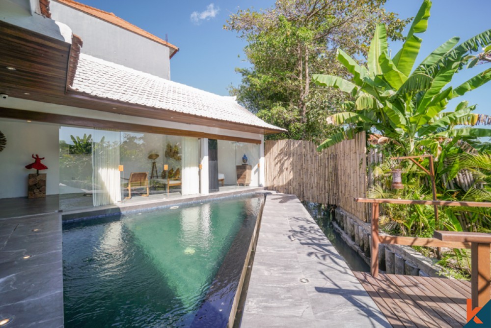 Beautiful Charming Two Villas for Sale in Kerobokan