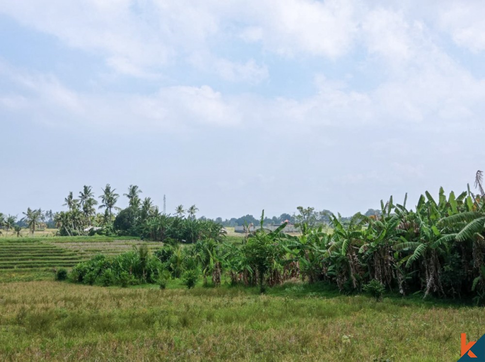 Rarely Land with Amazing Rice Paddies View for Sale in Nyanyi