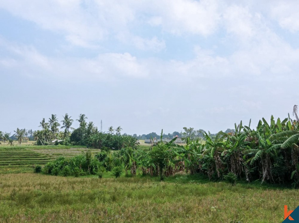 Tanah Jarang dengan Pemandangan Sawah Menakjubkan untuk Dijual di Nyanyi