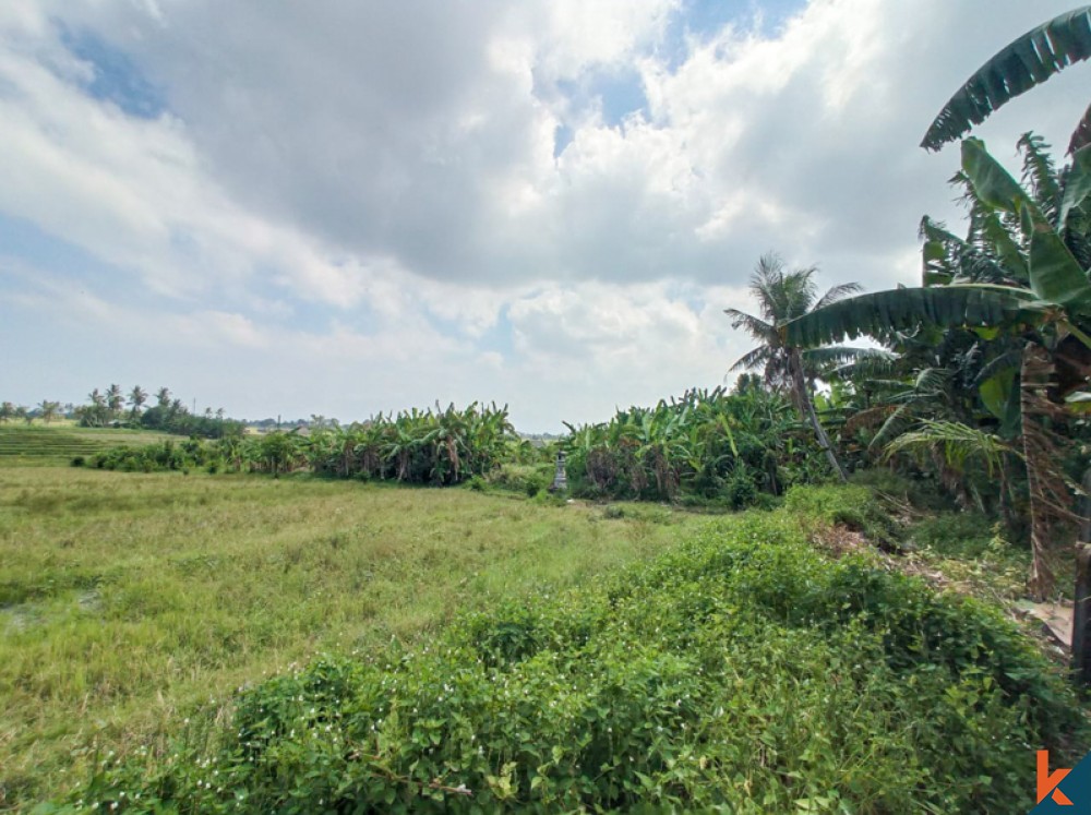 Tanah Jarang dengan Pemandangan Sawah Menakjubkan untuk Dijual di Nyanyi