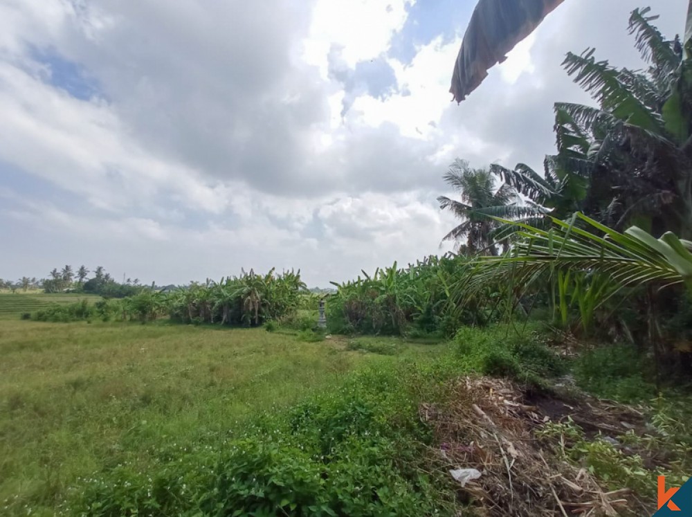 Tanah Jarang dengan Pemandangan Sawah Menakjubkan untuk Dijual di Nyanyi