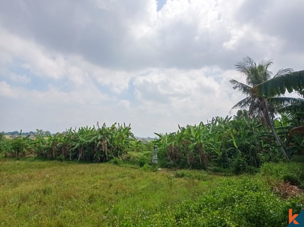 Tanah Jarang dengan Pemandangan Sawah Menakjubkan untuk Dijual di Nyanyi