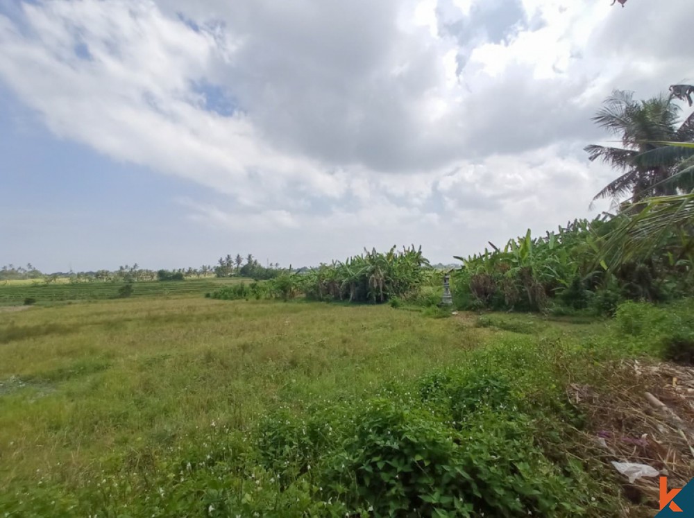 Tanah Jarang dengan Pemandangan Sawah Menakjubkan untuk Dijual di Nyanyi