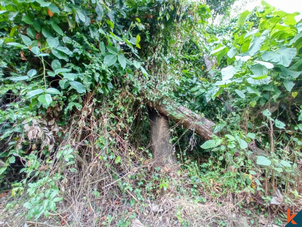 Beau terrain en pleine propriété au bord de la rivière à vendre à Nyambu