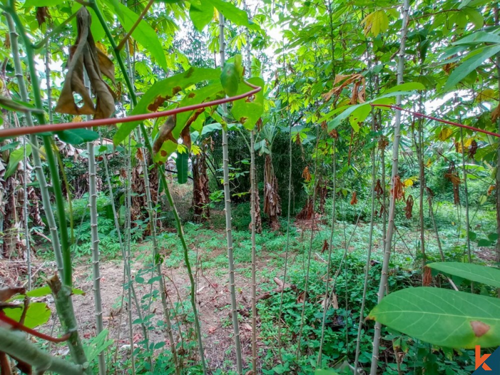 Beau terrain en pleine propriété au bord de la rivière à vendre à Nyambu