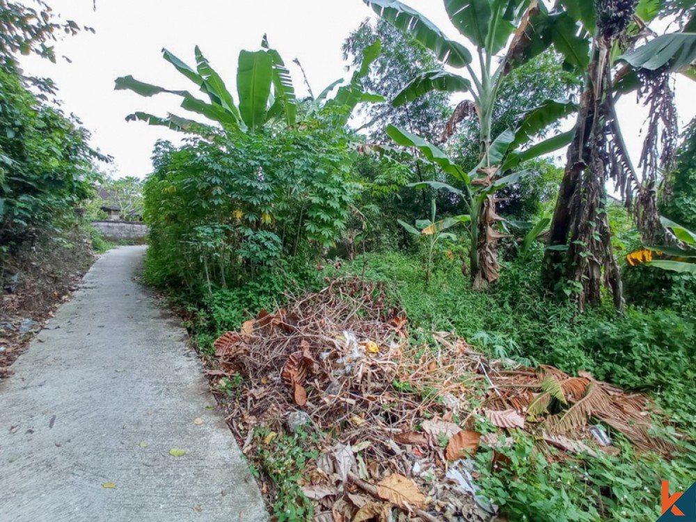 Dijual Tanah Hak Milik Tepi Sungai yang Indah di Nyambu