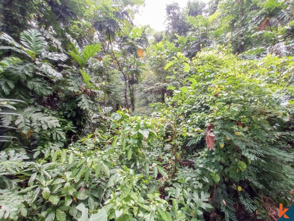 Beau terrain en pleine propriété au bord de la rivière à vendre à Nyambu