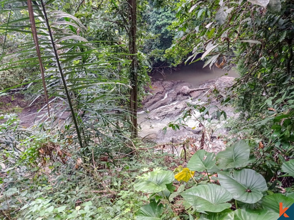 Dijual Tanah Hak Milik Tepi Sungai yang Indah di Nyambu