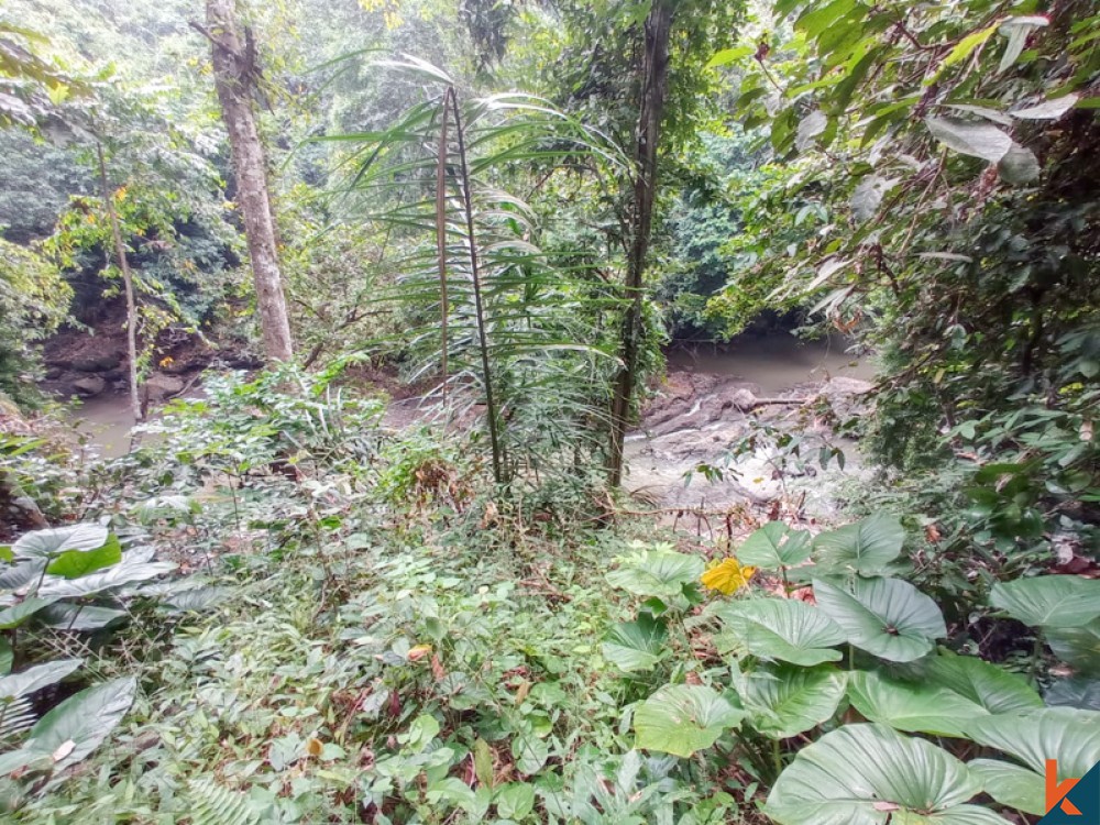 Beau terrain en pleine propriété au bord de la rivière à vendre à Nyambu