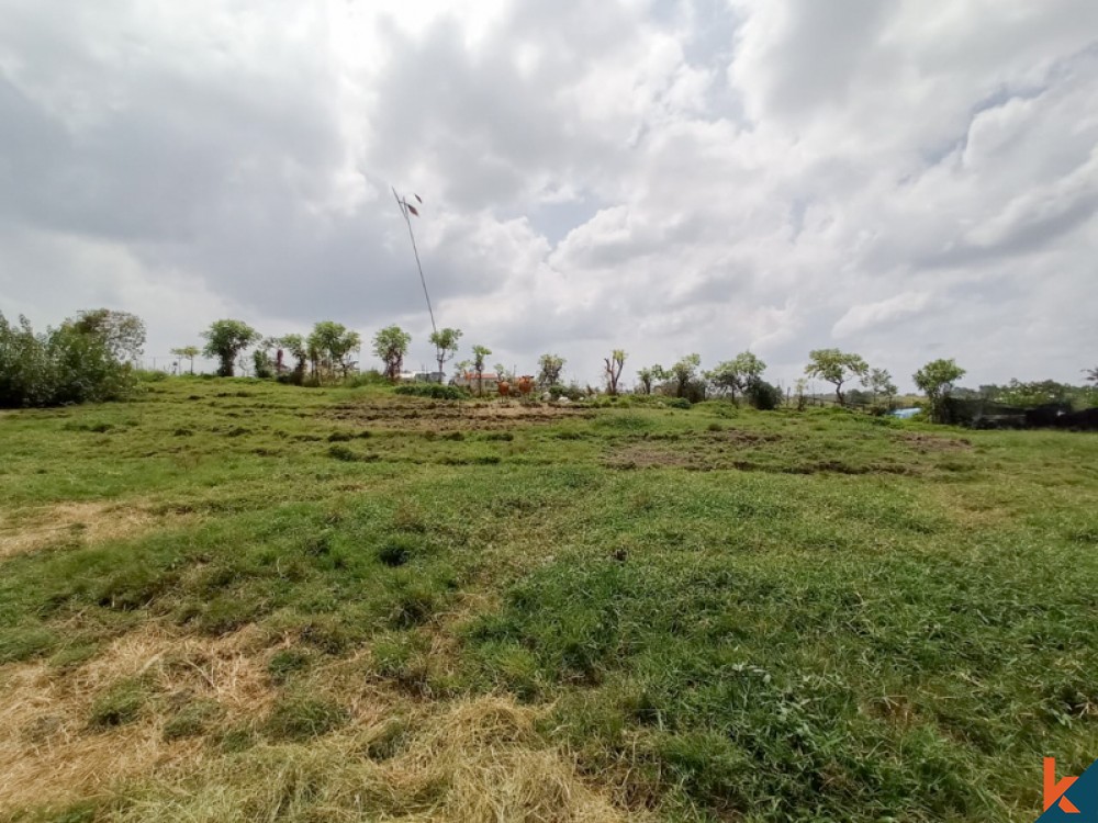 Amazing Rice Paddies Freehold Land for Sale in Kaba-kaba