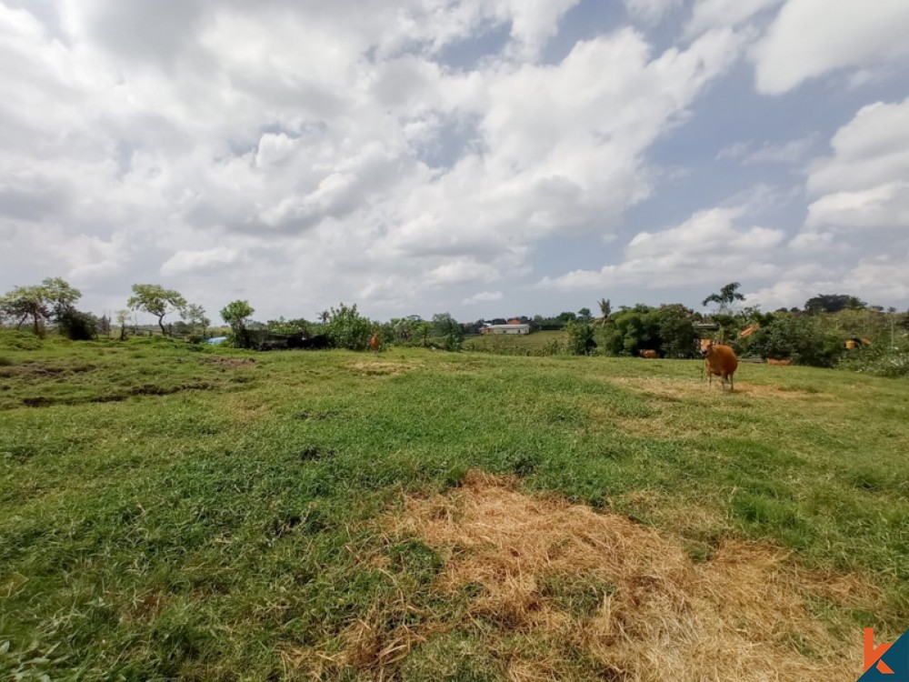 Amazing Rice Paddies Freehold Land for Sale in Kaba-kaba