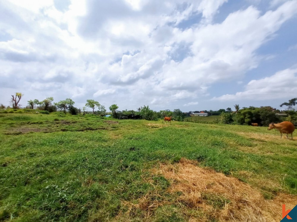 Amazing Rice Paddies Freehold Land for Sale in Kaba-kaba