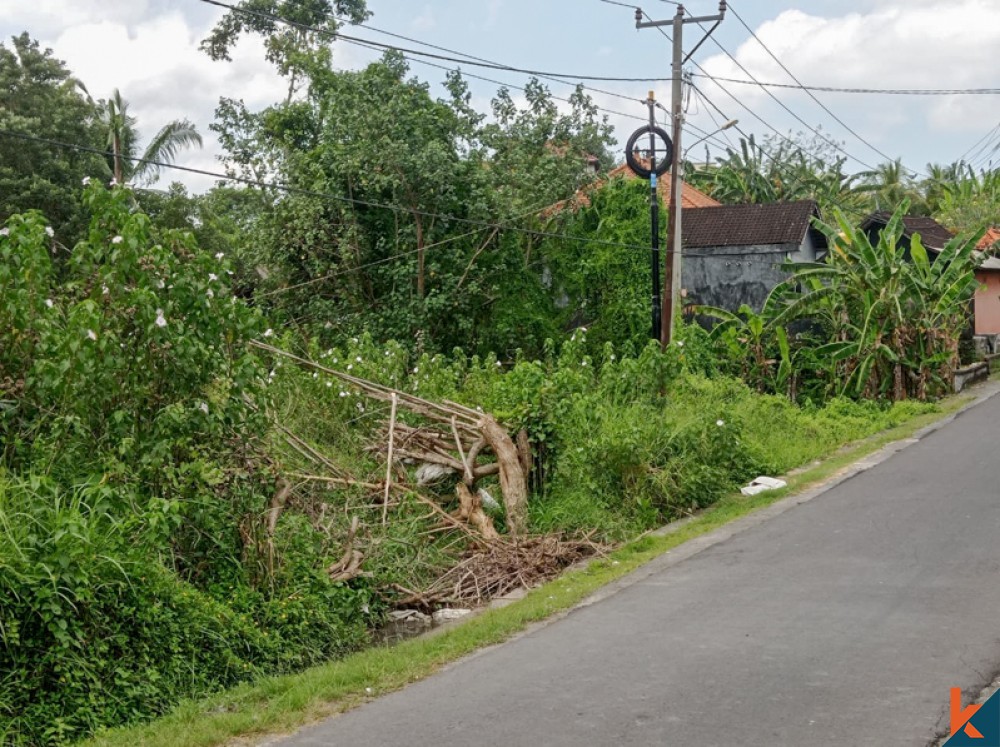 Amazing Rice Paddies Freehold Land for Sale in Kaba-kaba