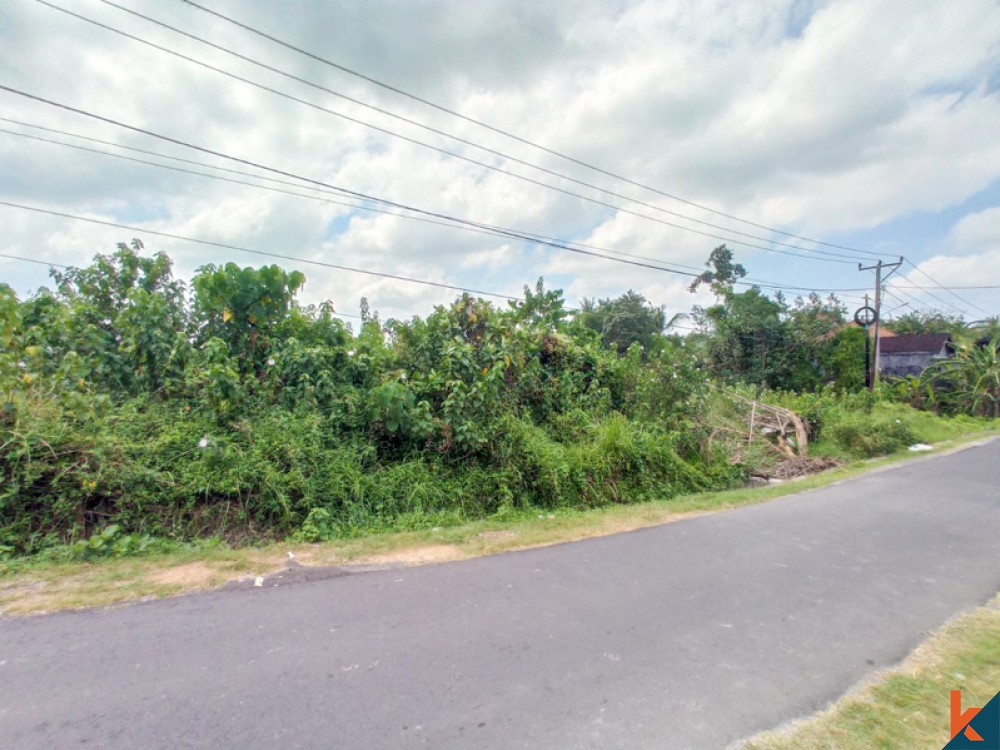 Amazing Rice Paddies Freehold Land for Sale in Kaba-kaba