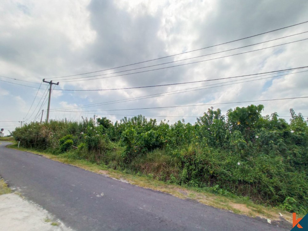 Amazing Rice Paddies Freehold Land for Sale in Kaba-kaba