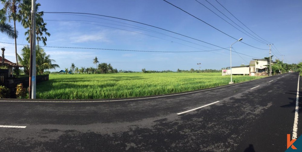 Terrain commercial avec vue sur les rizières à vendre à Kedungu