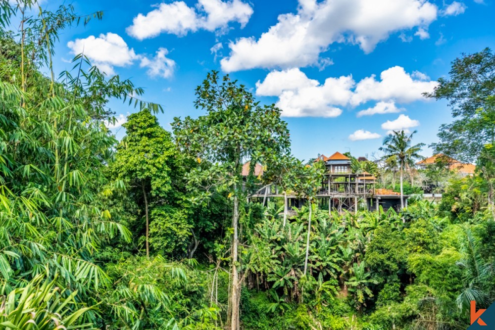 Villa neuve avec vue sur la jungle à vendre à Canggu