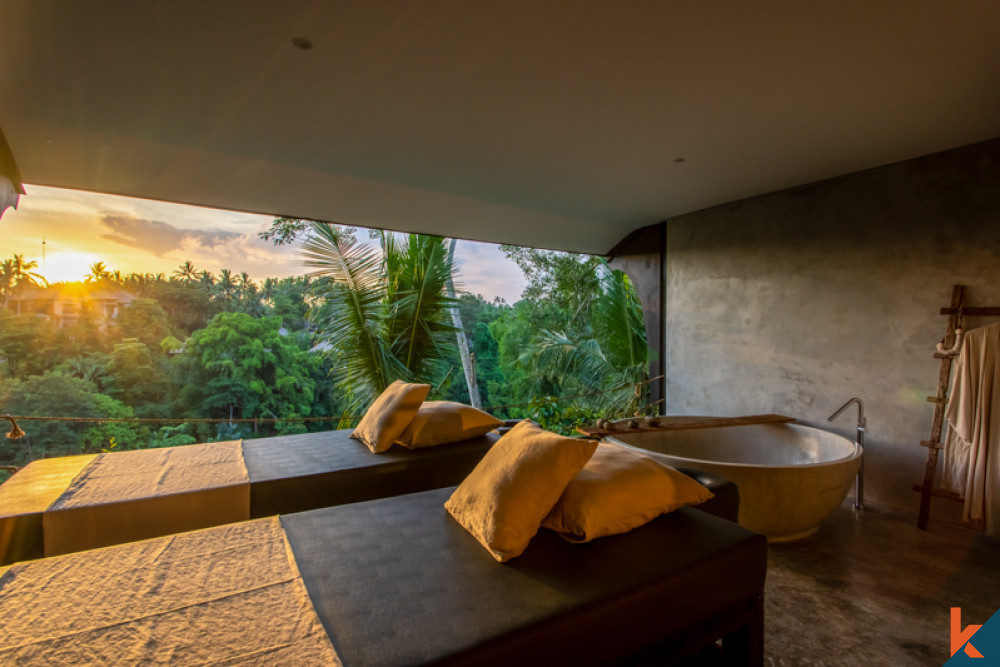 Amazing investment balinese style hotel for sale in Ubud