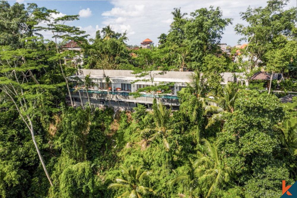 Merveilleux hôtel de style balinais d’investissement à vendre à Ubud