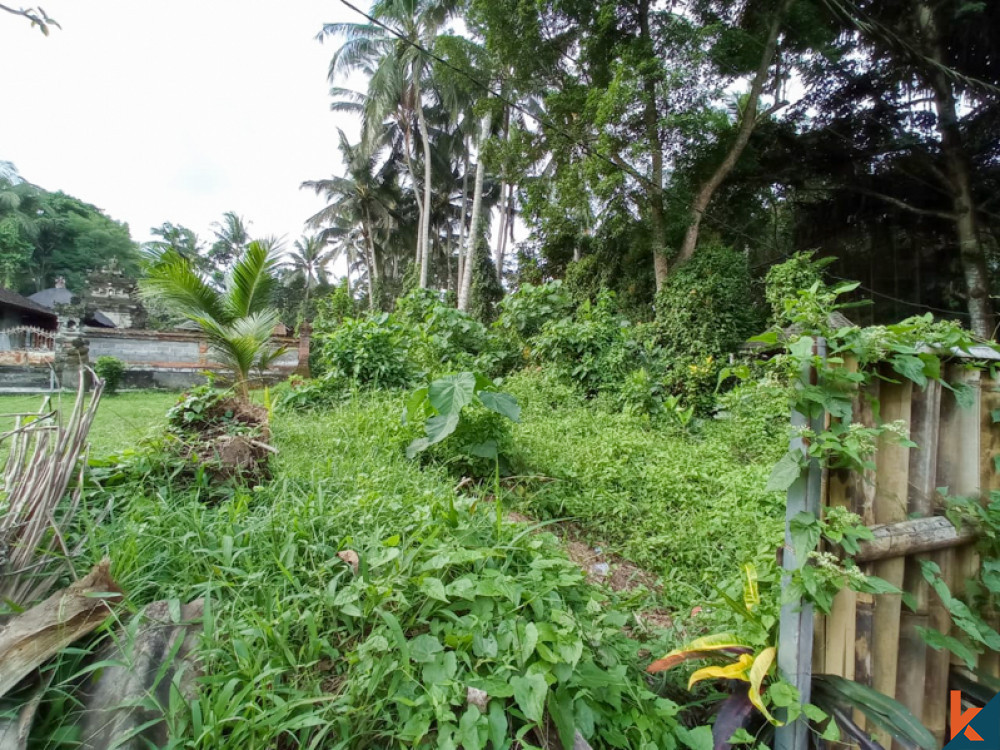 Freehold Land Close To The River for Sale in Ubud