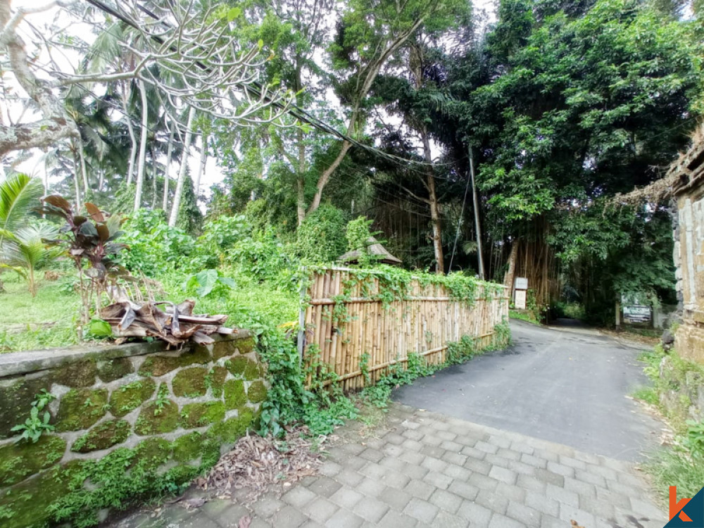 Freehold Land Close To The River for Sale in Ubud