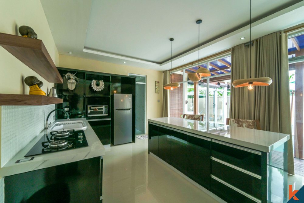 Amazing One Bedroom Stylish Villa for Sale in Kerobokan