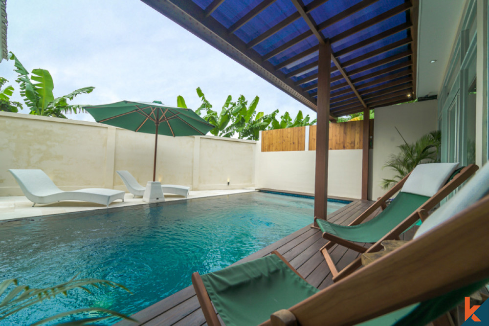 Amazing One Bedroom Stylish Villa for Sale in Kerobokan