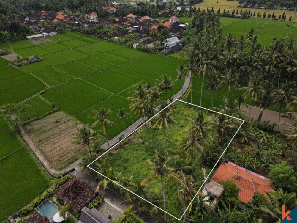 Tanah sewa yang indah dengan sawah, pemandangan gunung, IMB dan proyek untuk villa