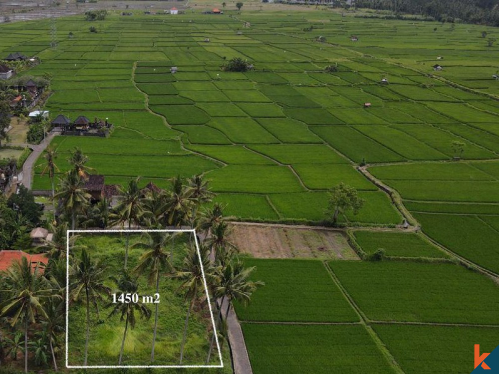 Tanah sewa yang indah dengan sawah, pemandangan gunung, IMB dan proyek untuk villa