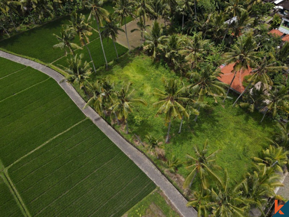 Tanah sewa yang indah dengan sawah, pemandangan gunung, IMB dan proyek untuk villa